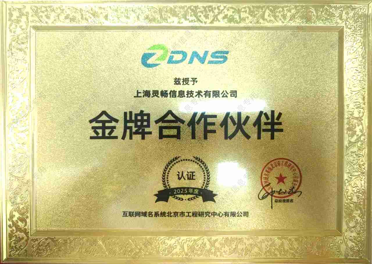 45.2025年度DNS金牌合作伙伴-2.jpg